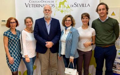 El Colegio de Veterinarios de Sevilla desarrolla un Protocolo propio para la Gestión de las Colonias Felinas