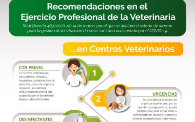 Recomendaciones en el Ejercicio Profesional de la Veterinaria por la crisis sanitaria del COVID-19