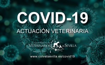 Sección web EXCLUSIVA con todas las novedades sobre la pandemia del COVID-19 y su relación con la actuación del profesional veterinario