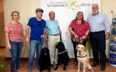 Recibimos en el ICOVS a algunos miembros de la Asociación de Usuarios de Perros Guía de Andalucía