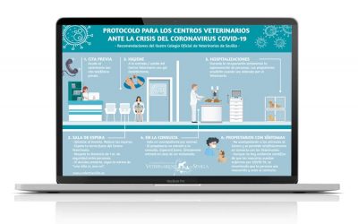 Infografías sobre el COVID19 para Centros Veterinarios