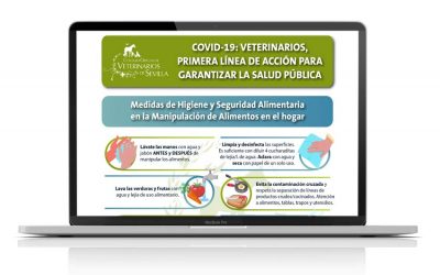 COVID-19: Veterinarios, primera línea de ación para garantizar la Salud Pública