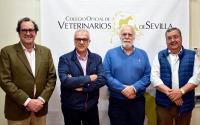 Gran afluencia en el Curso de Capacitación para Veterinarios Habilitados para la Expedición de la Declaración de Veterinario Responsable para exportaciones (DVR)