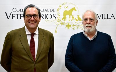 Celebramos la Jornada sobre el “Ejercicio de la profesión veterinaria como actividad económica” en el ICOVS