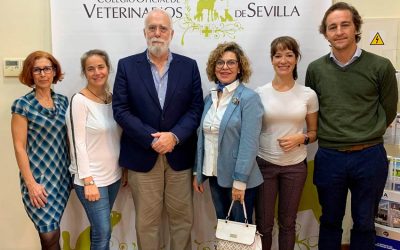 El Colegio de Veterinarios de Sevilla desarrolla un Protocolo propio para la Gestión de las Colonias Felinas