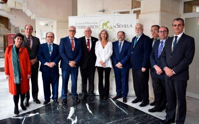 Celebramos el acto de entrega de distinciones y admisión de nuevos colegiados del Colegio Oficial de Veterinarios de Sevilla