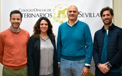 Máxima asistencia en la Conferencia sobre “Osteoartritis canina” celebrada en el Colegio de Veterinarios de Sevilla