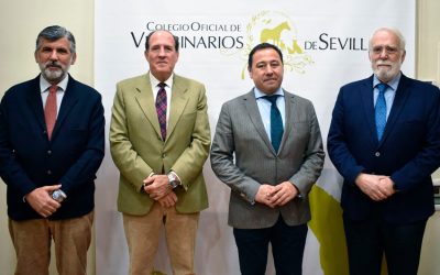 Recibimos a Ricardo Sánchez, Delegado del Gobierno de la Junta de Andalucía en Sevilla en el ICOVS