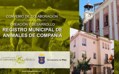 El Ayuntamiento de Pilas renueva su convenio con el Colegio de Veterinarios de Sevilla para la elaboración del Registro Municipal de Animales de Compañía