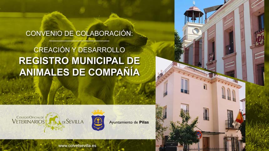 El Ayuntamiento de Pilas renueva su convenio con el Colegio de Veterinarios de Sevilla para la elaboración del Registro Municipal de Animales de Compañía