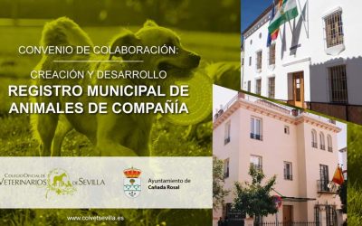 El Ayuntamiento de Cañada Rosal firma un convenio con el Colegio de Veterinarios de Sevilla para la elaboración del Registro Municipal de Animales de Compañía