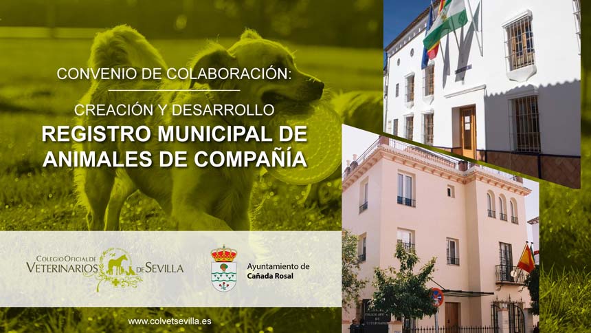 El Ayuntamiento de Cañada Rosal firma un convenio con el Colegio de Veterinarios de Sevilla para la elaboración del Registro Municipal de Animales de Compañía