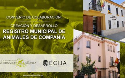 El Ayuntamiento de Écija renueva su convenio con el Colegio de Veterinarios de Sevilla para el desarrollo del Registro Municipal de Animales de Compañía