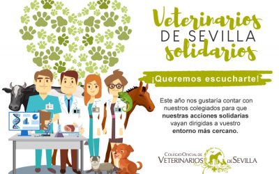 El Colegio de Veterinarios de Sevilla cuenta con sus colegiados para la Campaña de Navidad Solidaria 2020