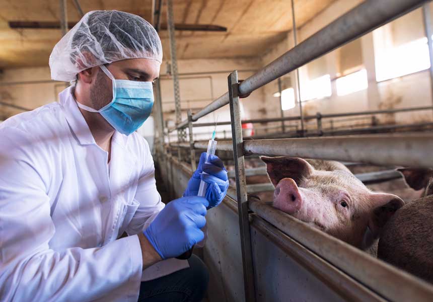 Alertas sobre Farmacovigilancia Veterinaria