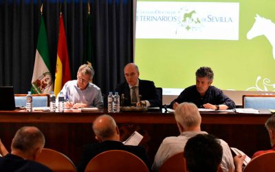 La Asamblea general de REIAC se reúne este año en el ICOV de Sevilla