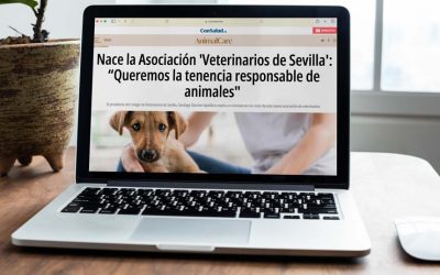 Los Retos de la Asociación “Veterinarios de Sevilla”. D. Santiago Sánchez-Apellániz, presidente del ICOVS, en Animal Care