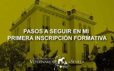 ¿Es la primera vez que te inscribes en un Seminario Online del ICOV de Sevilla?