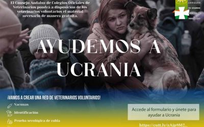 Veterinarios voluntarios para la atención de animales de compañía afectados por el conflicto en Ucrania