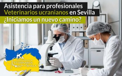 El Colegio de Veterinarios de Sevilla hace un llamamiento para ayudar a los veterinarios ucranianos acogidos por la Fundación Madre Trinidad