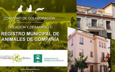 Bollullos de la Mitación firma un convenio con el Colegio de Veterinarios de Sevilla para la elaboración del Registro Municipal de Animales de Compañía