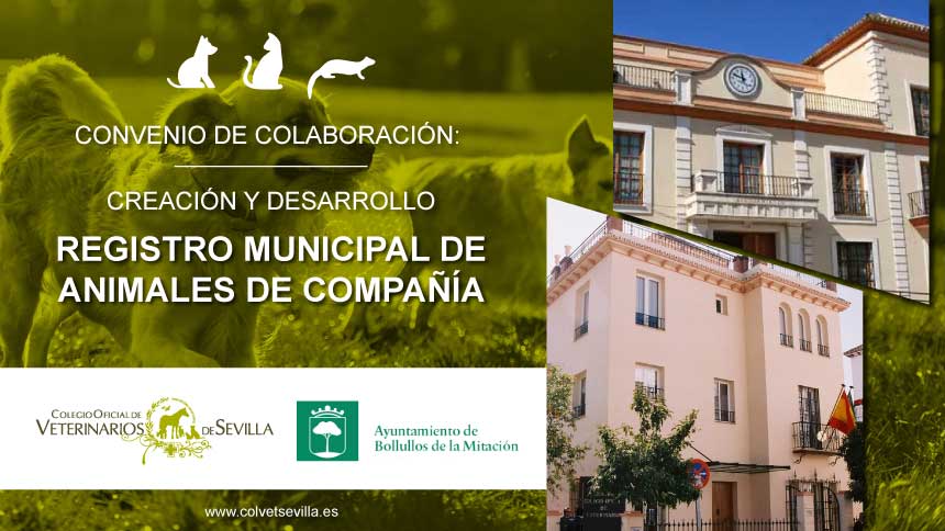 Bollullos de la Mitación firma un convenio con el Colegio de Veterinarios de Sevilla para la elaboración del Registro Municipal de Animales de Compañía