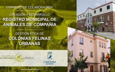 El Ayuntamiento de El Cuervo firma un convenio con el ICOVS para desarrollar el Registro Municipal de animales y gestionar las colonias felinas