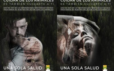 Los veterinarios andaluces lanzamos la campaña ‘Una sola salud protege todo nuestro futuro’