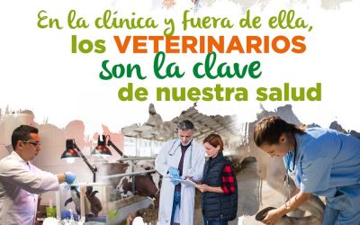 El CACV lanza una campaña sobre las funciones y competencias de los veterinarios menos conocidas por la sociedad