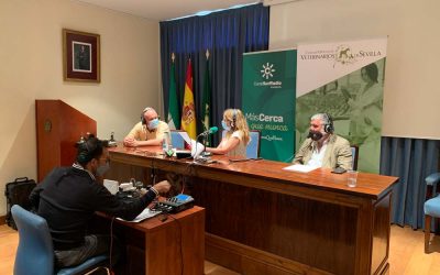 “Mediodía Sevilla”, de Canal Sur Radio, en directo desde el Colegio de Veterinarios de Sevilla