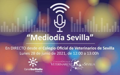 Emisión en DIRECTO de “Mediodía Sevilla”, de Canal Sur Radio, desde la sede del Ilustre Colegio de Veterinarios de Sevilla