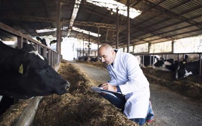 Los Veterinarios andaluces denunciamos la reforma que deroga de hecho la figura del veterinario de explotación