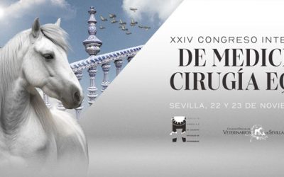 El XXIV Congreso Internacional de Medicina y Cirugía Equina se celebrará los días 22 y 23 de noviembre en Sevilla