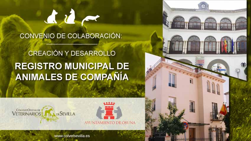 El Ayuntamiento de Osuna firma un convenio con el Colegio de Veterinarios de Sevilla para la creación del Registro Municipal de Animales de Compañía