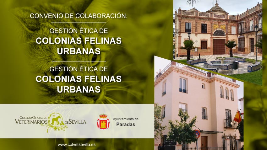 El Ayuntamiento de Paradas firma un convenio con el Colegio de Veterinarios de Sevilla para la identificación animal y la gestión de colonias felinas