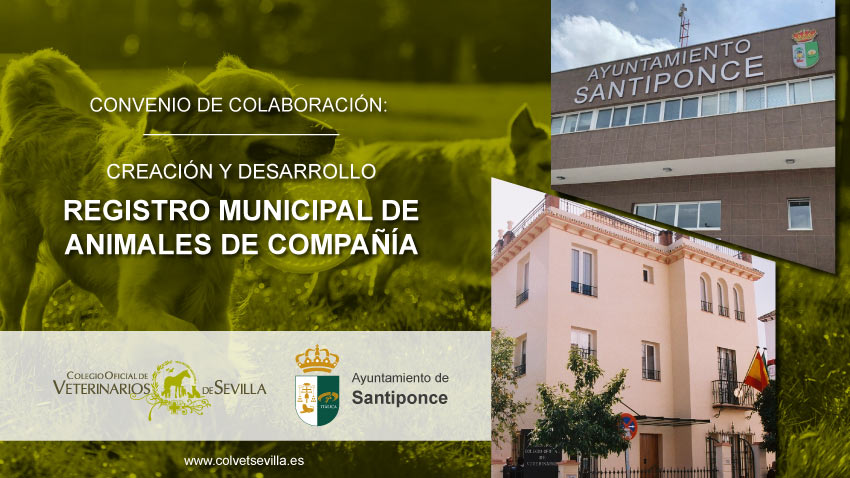 El Ayuntamiento de Santiponce firma un convenio con el Colegio de Veterinarios de Sevilla para la identificación de animales de compañía