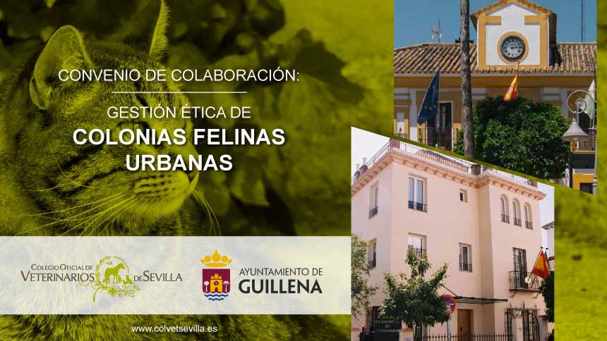 El Ayuntamiento de Guillena firma un convenio con el ICOVS para la Gestión ética de Colonias Felinas urbanas