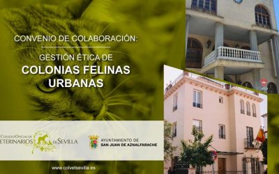 San Juan de Aznalfarache amplía su convenio con el ICOVS para la gestión ética de las Colonias Felinas del municipio