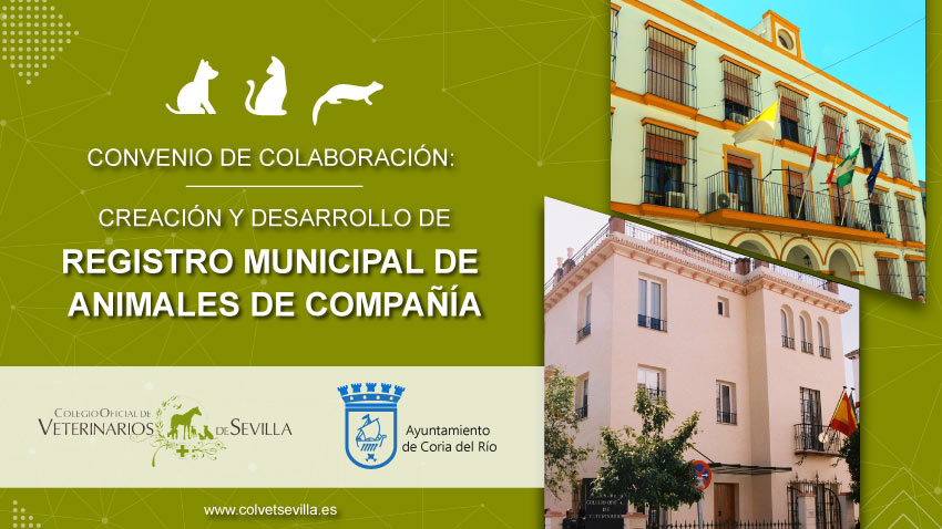 El Ayuntamiento de Coria del Río firma un convenio con el Colegio de Veterinarios de Sevilla para la identificación de animales de compañía