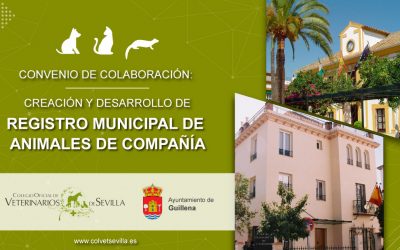 Guillena renueva su convenio con el Colegio de Veterinarios de Sevilla para la identificación de animales de compañía