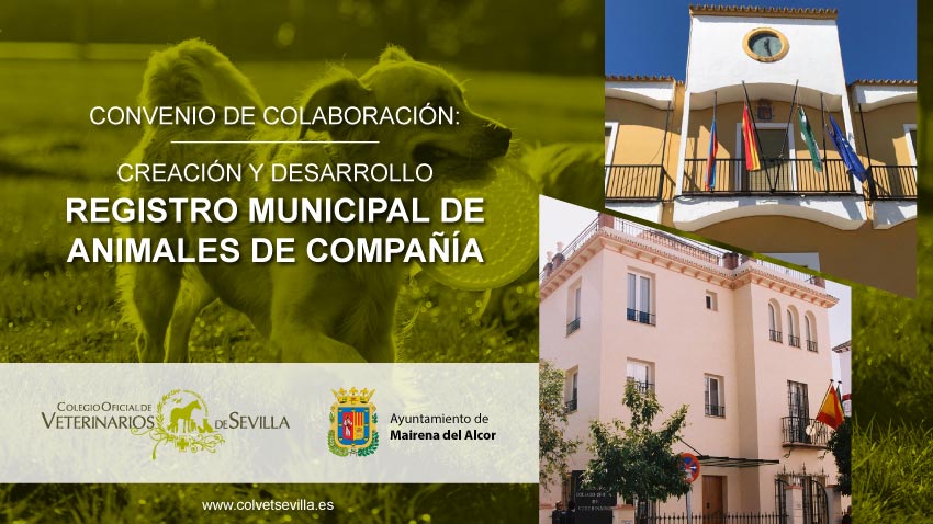 El Ayuntamiento de Mairena del Alcor firma un convenio con el Colegio de Veterinarios de Sevilla para la gestión del Registro Municipal de Animales de Compañía