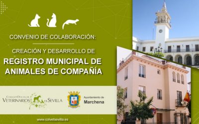 El Ayuntamiento de Marchena renueva su convenio con el Colegio de Veterinarios de Sevilla para la identificación de animales de compañía