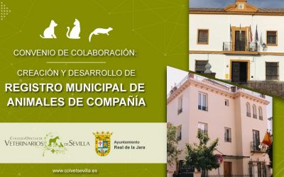 El Ayuntamiento de El Real de la Jara firma un convenio con el Colegio de Veterinarios de Sevilla para la identificación de animales de compañía