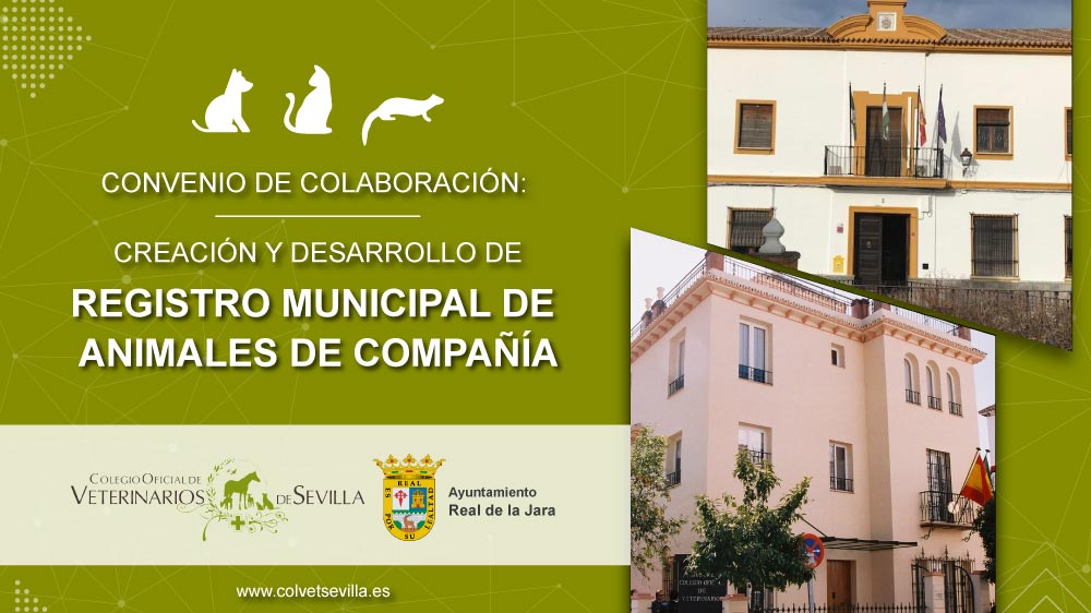 El Ayuntamiento de El Real de la Jara firma un convenio con el Colegio de Veterinarios de Sevilla para la identificación de animales de compañía