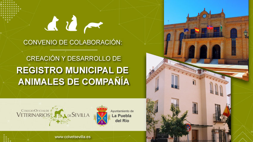 La Puebla del Río firma un convenio con el Colegio de Veterinarios de Sevilla para la identificación de animales de compañía