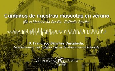 Hablamos de los cuidados de nuestras mascotas en verano en “Es la Mañana de Sevilla” de EsRadio Sevilla