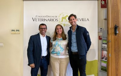 Gran expectación en la Charla sobre “Grupos de clínicas y fondos de inversión. Situación actual de las Clínicas Veterinarias” impartida por AYUDAVETS en el Colegio de Veterinarios de Sevilla