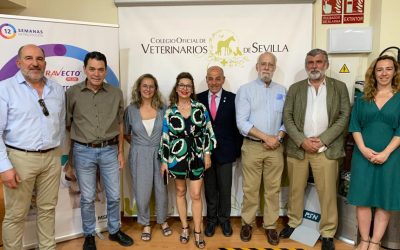 Máxima expectación en la conferencia sobre “Filarias y otras parasitosis pulmonares en pequeños animales” impartida por el Dr. Alberto Montoya en el Colegio de Veterinarios de Sevilla