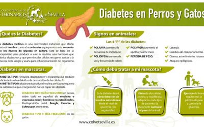 Día Mundial de la Diabetes