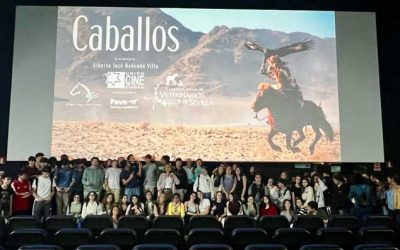 Asistimos al estreno en Sevilla de “Caballos”, un documental dirigido por Alberto Redondo y finalista en el Festival de Cannes